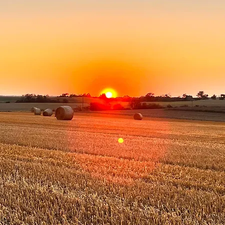 Seeidyll Potzlower Apartment