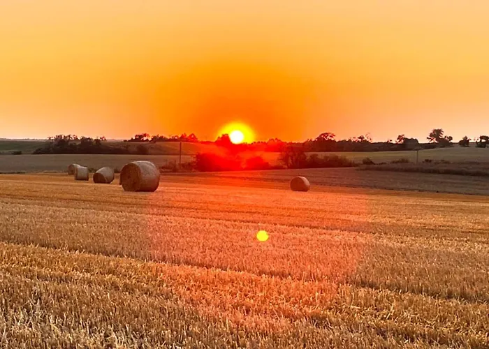 Seeidyll Potzlower Apartment